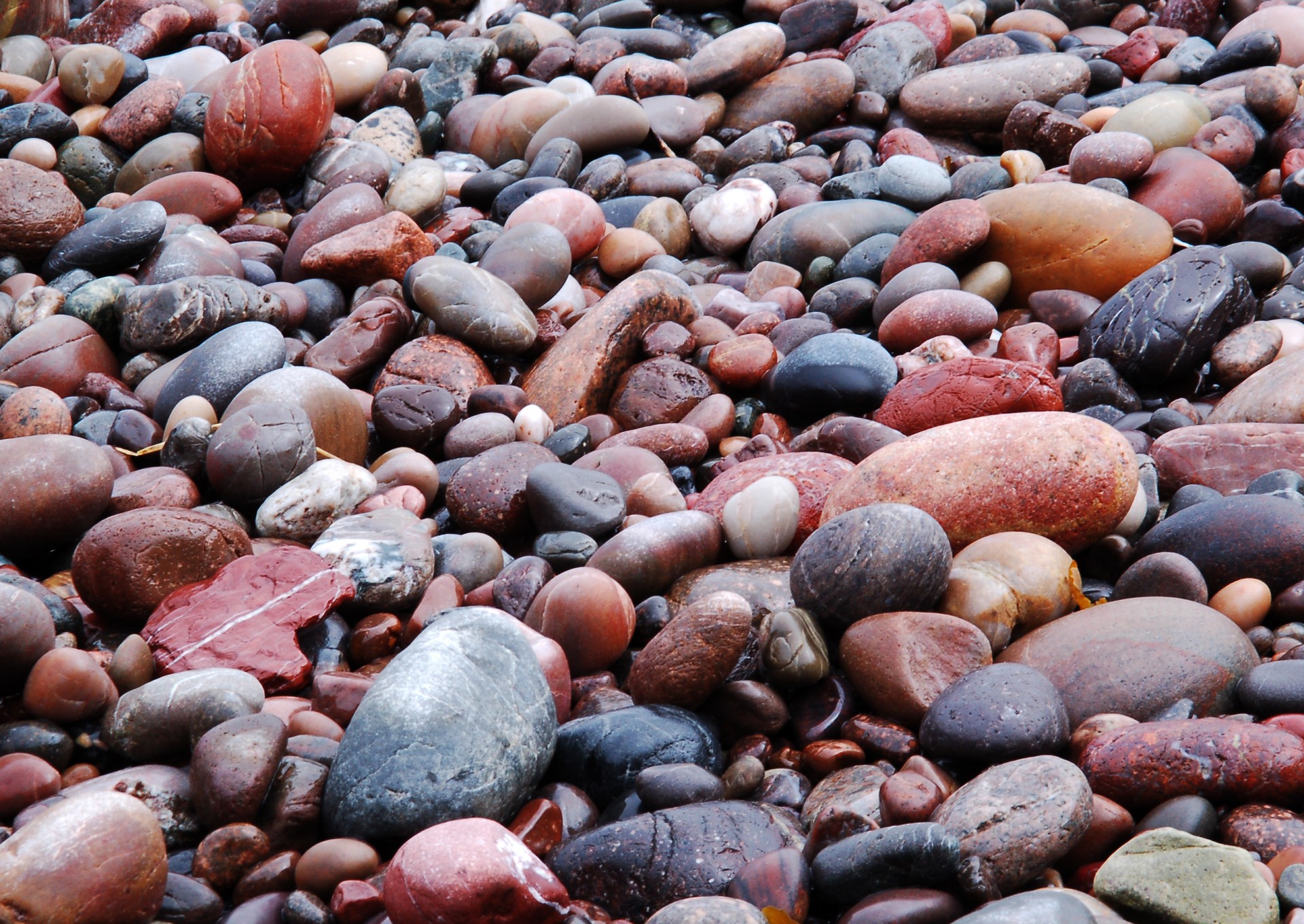 pietre spiaggia moka bagnato