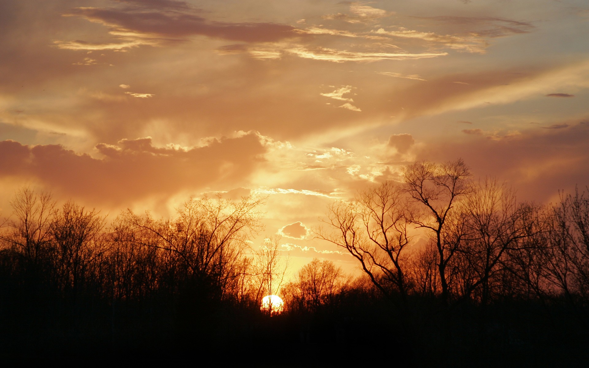 sole tramonto alberi nuvole