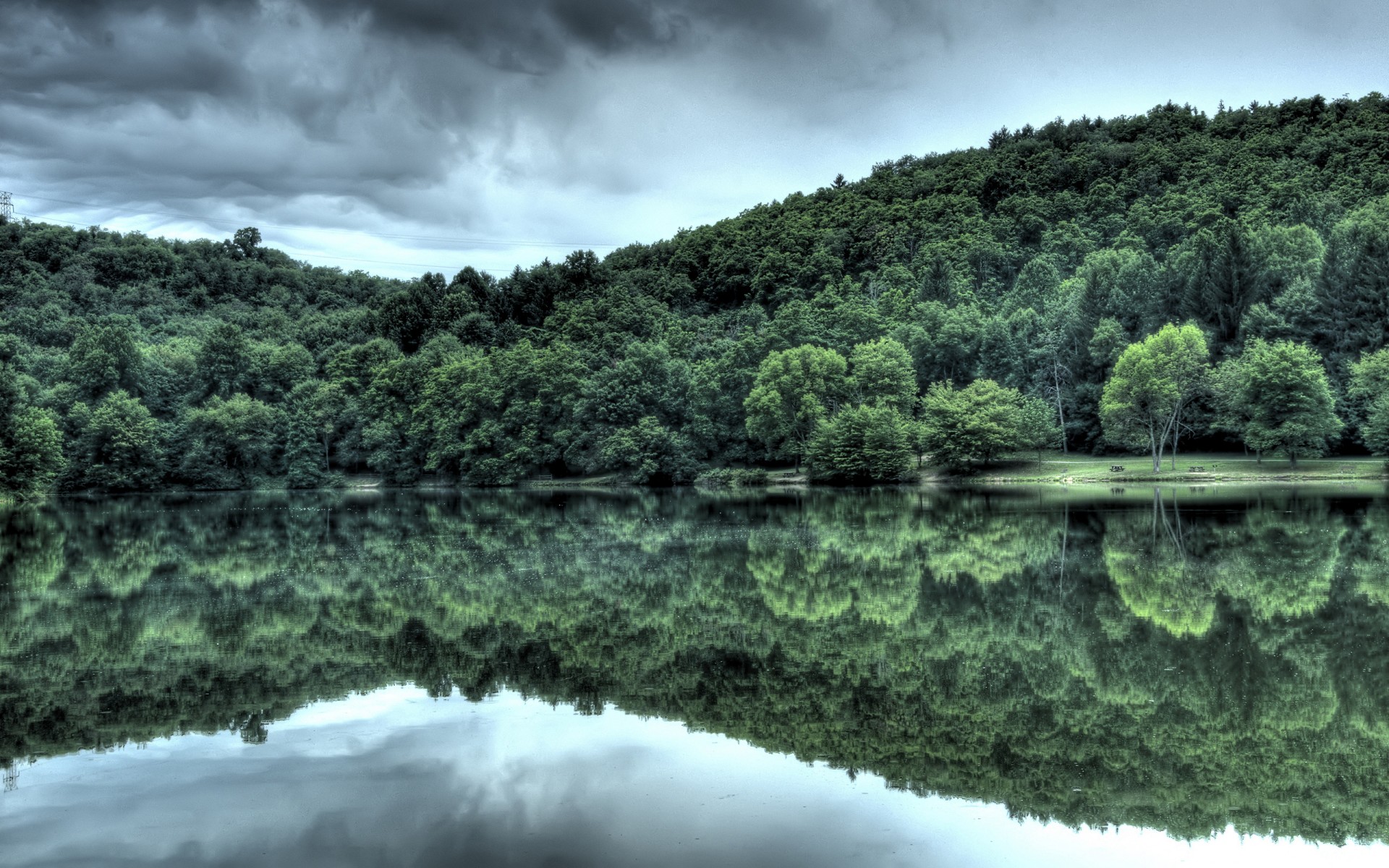 water forest reflection