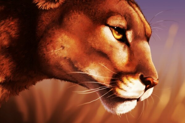 A close-up drawing of a lioness