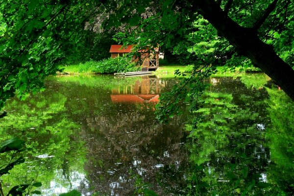 Gazebo nella foresta verde vicino al lago