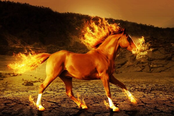 Cheval de feu peinture 3 d