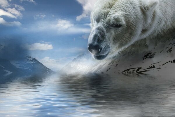 Arte con un oso polar junto al agua