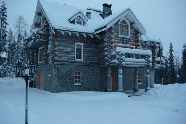 Dawn in the cold winter in the forest