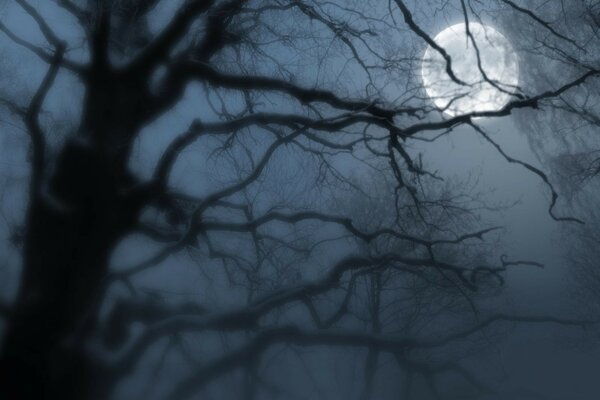 Photo of the moon at night in the fog