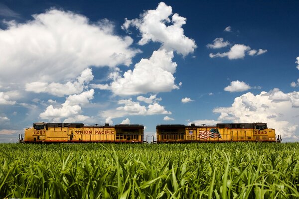 Photo of a steam locomotive in summer with an American flag