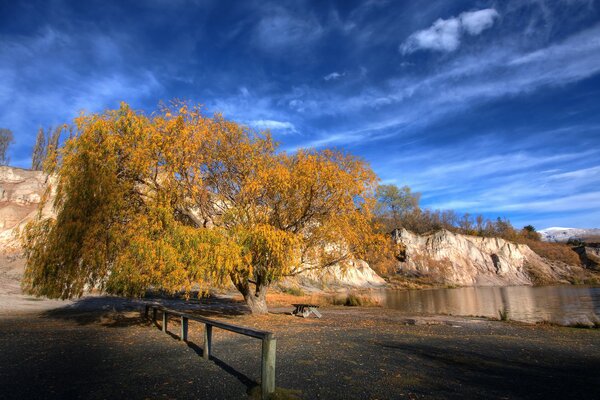 Yellow tree by the rocks on the shore