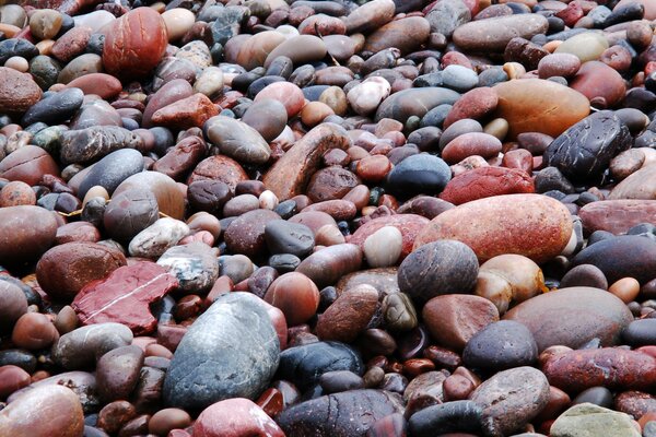 Wet colored pebbles on the beach