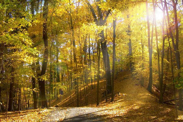 Sunny autumn in Ohio