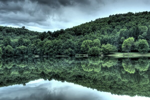 Reflet miroir de la forêt sur l eau