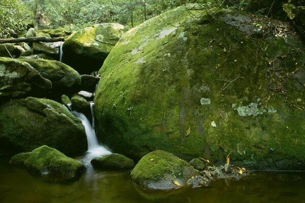 A large moss-covered boulder next to the waterfall