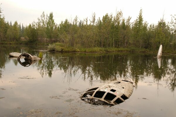 Photo of a lake in the forest with a sunken plane