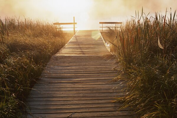 Beau coucher de soleil sur le pont près de la rivière