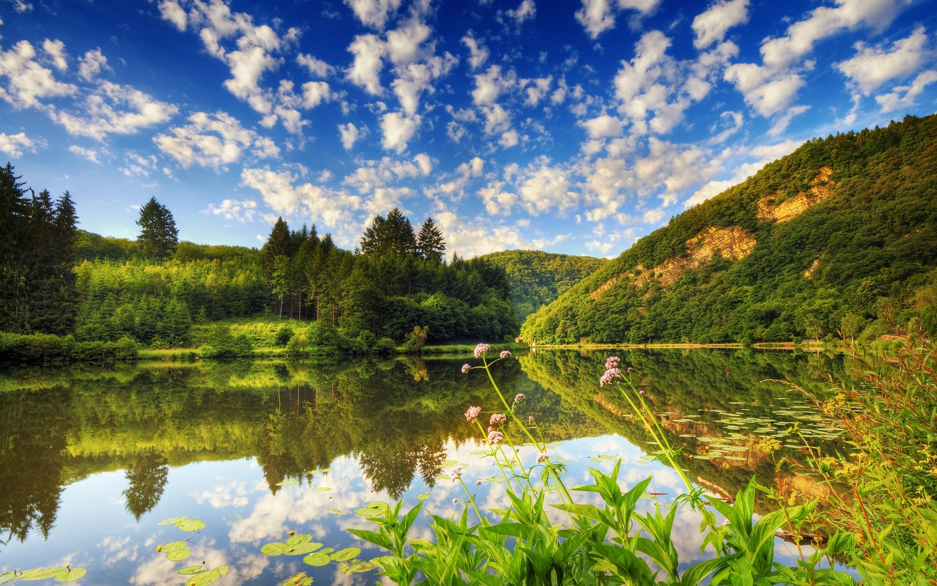 lac arbres nuages