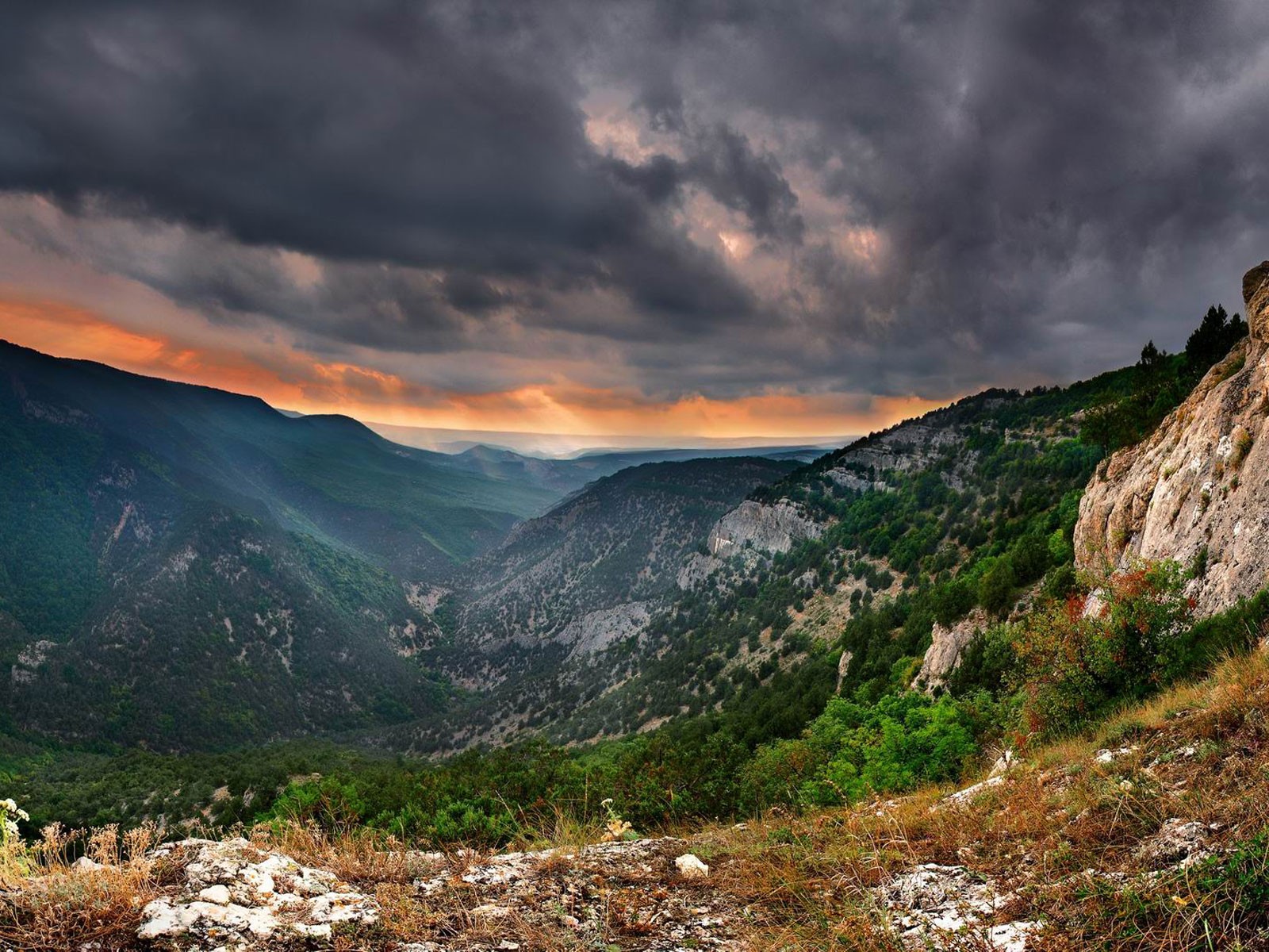 crimea montañas árboles plomo cielo