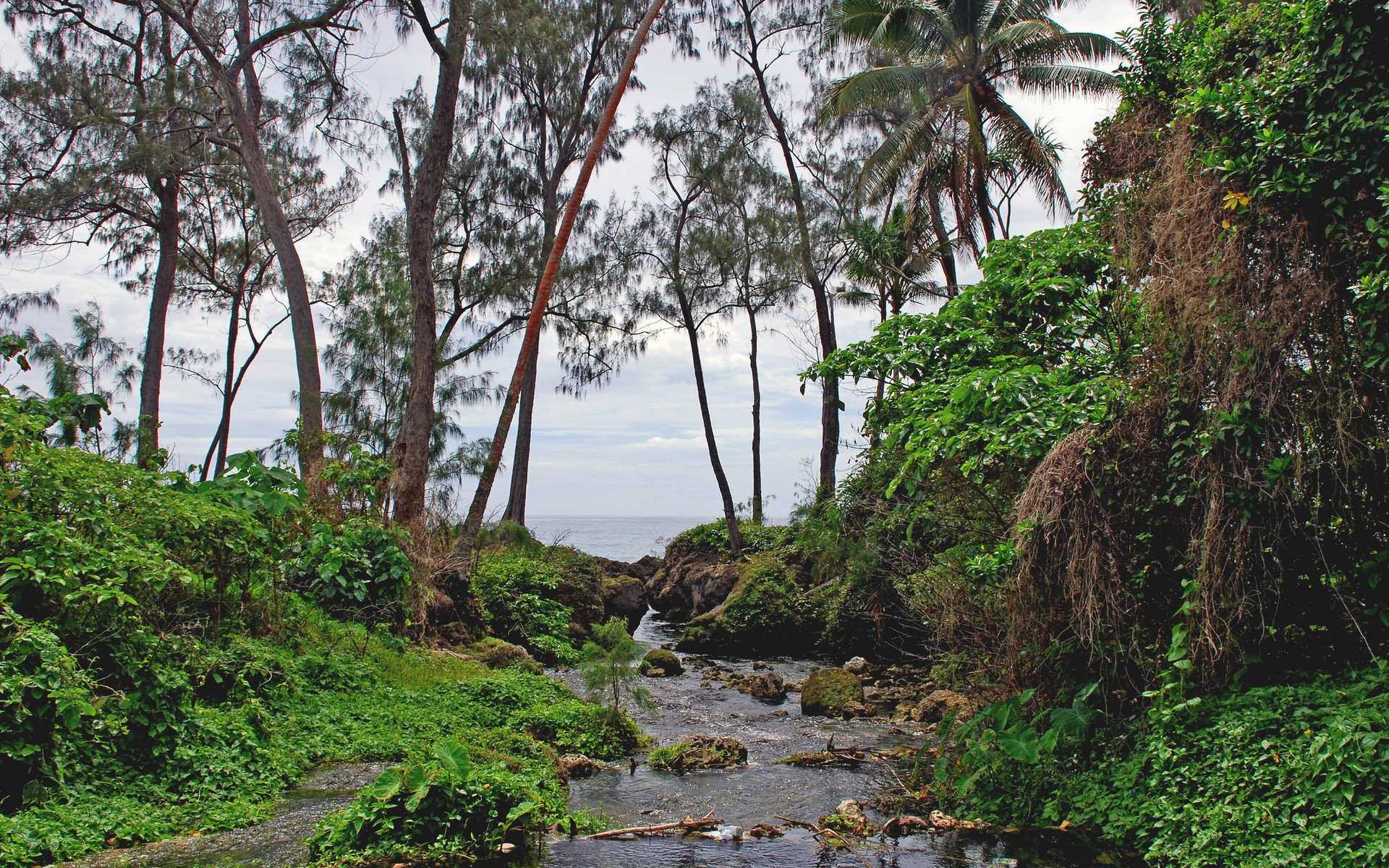 vanuatu île d efat ruisseau