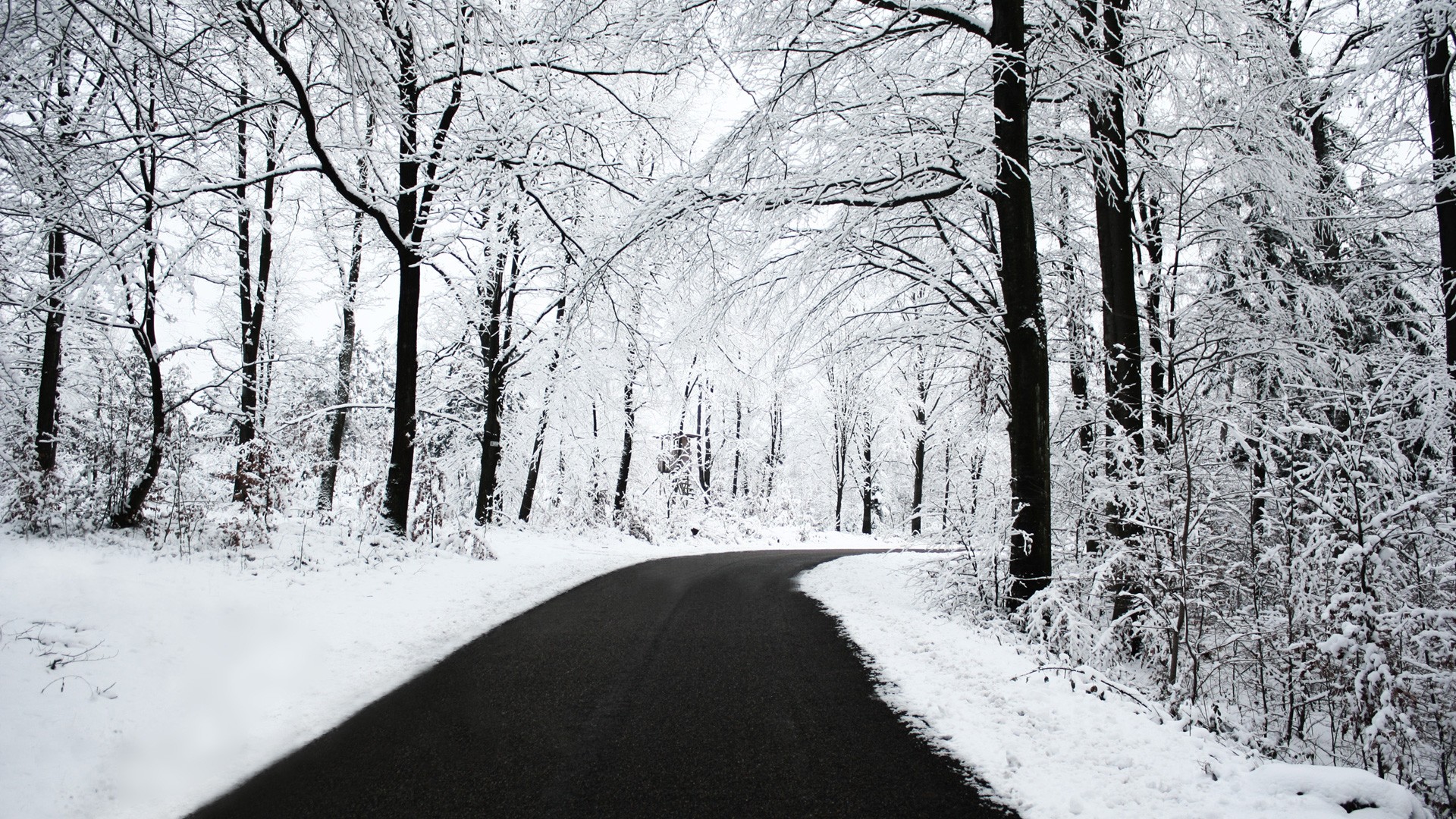 road winter snow tree