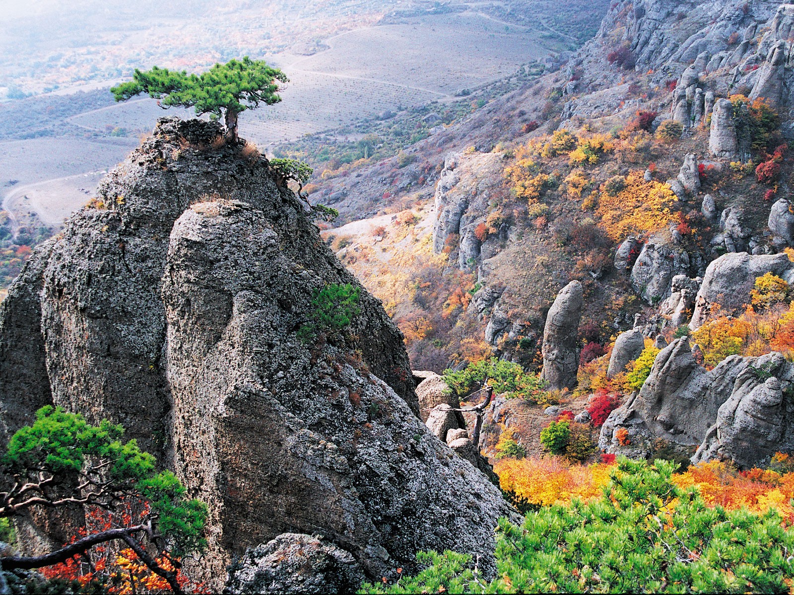 krim herbst felsen bäume büsche straße in die ferne