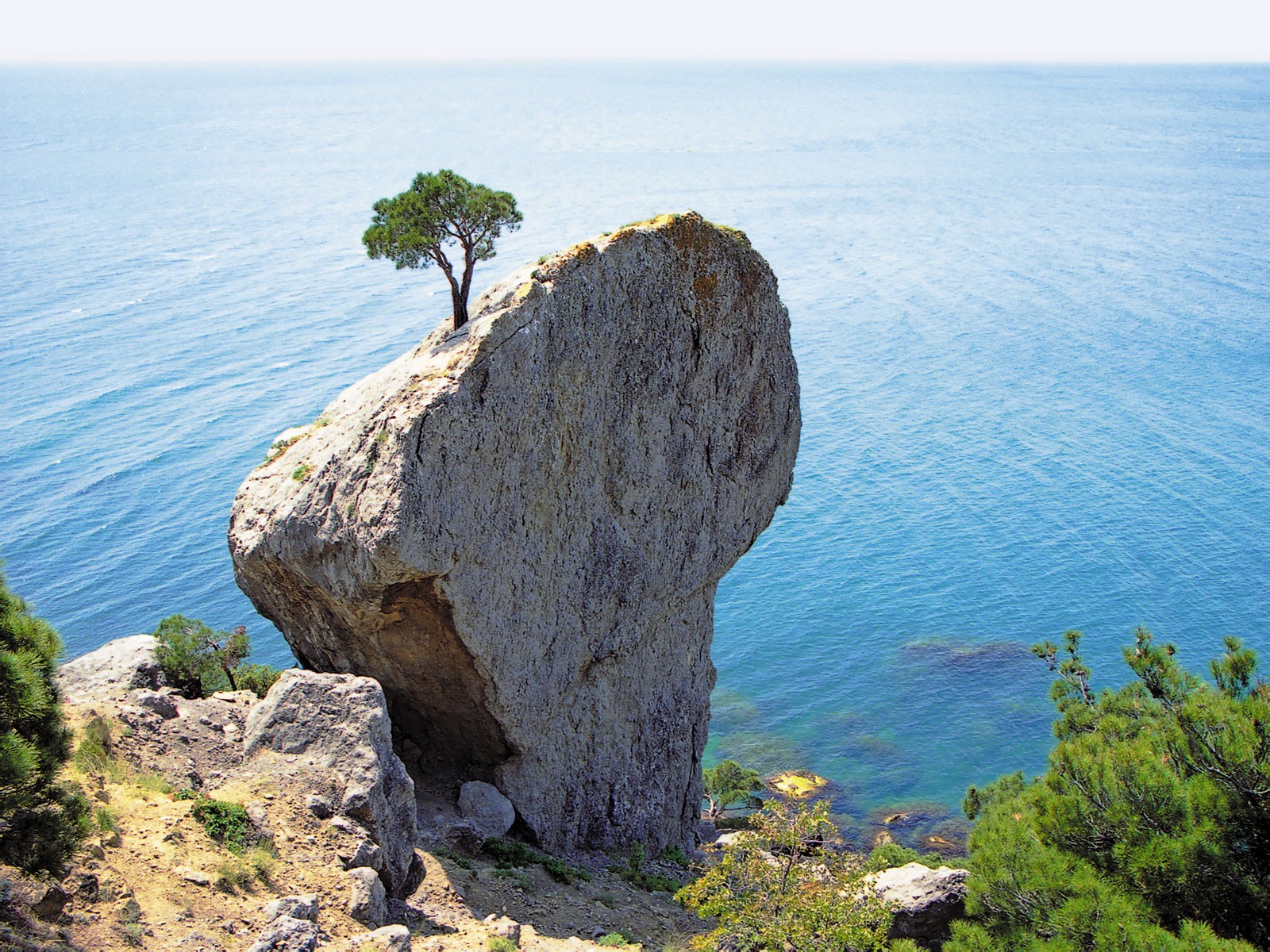 crimea verano mar negro roca agua árbol