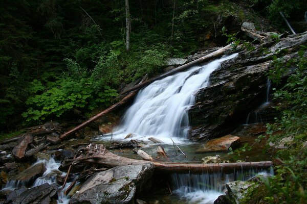 Wasserfall im Wald und Steine