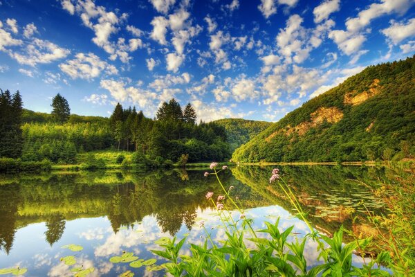 Landschaft mit schönen weißen Wolken