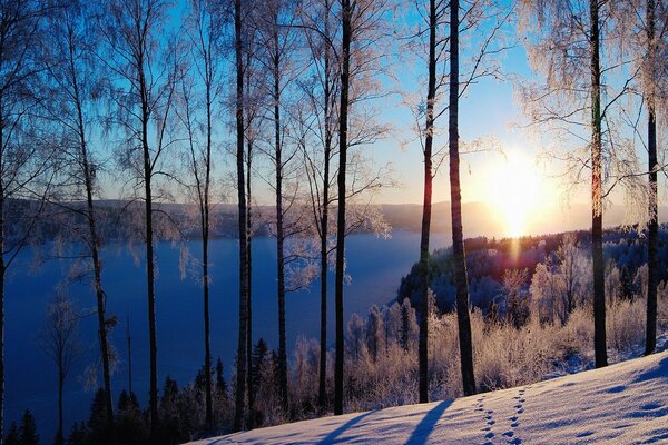 Winter sun. River in the snow