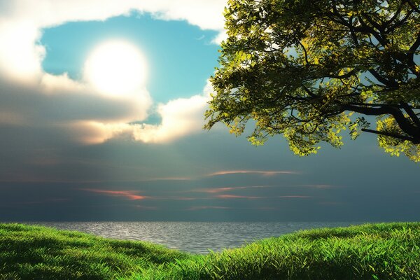 A soothing landscape. Sea and tree