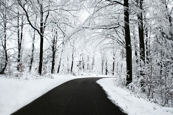 Keine überfüllte Straße im verschneiten Wald