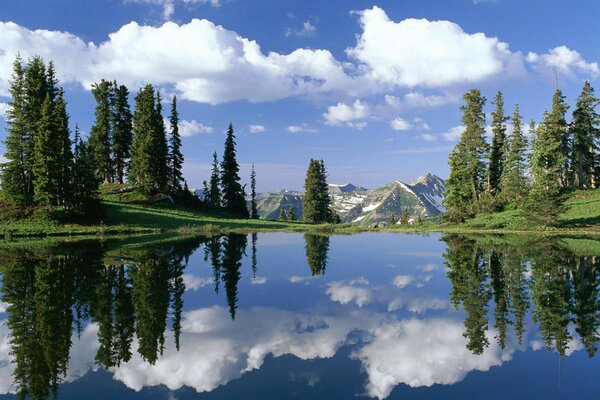 Reflection of the sky and trees in the lake