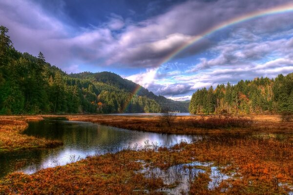 Arco iris en el fondo de un bosque de nubes y un río que fluye