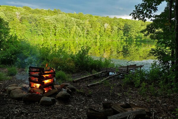 Feu de camp confortable sur un pique-nique dans la forêt au bord du lac