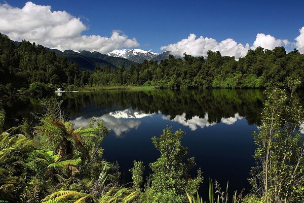 Clouds over a forest lake