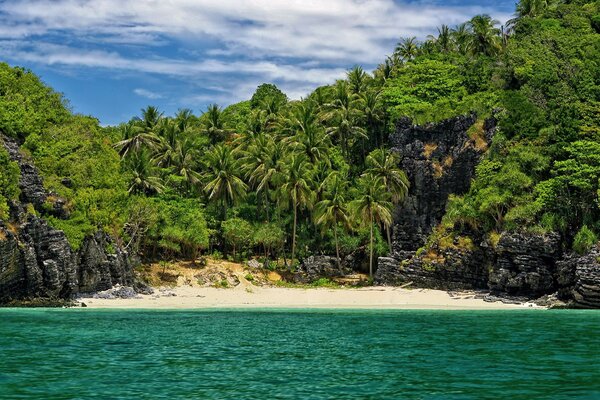 Plage dans un endroit isolé parmi les palmiers