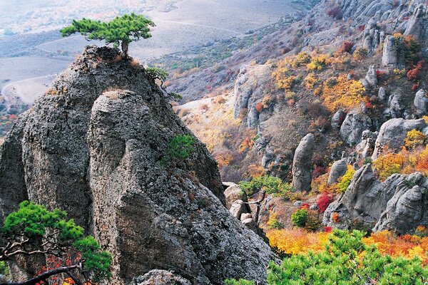 Rocas de Crimea con un camino a lo lejos