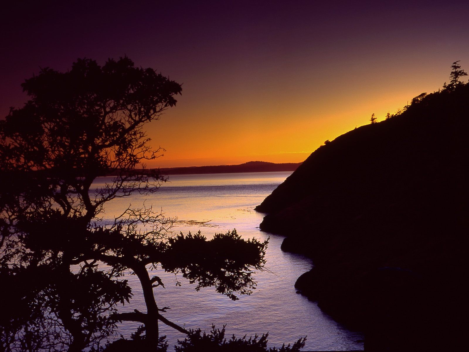 coucher de soleil colline arbre mer eau ondulations