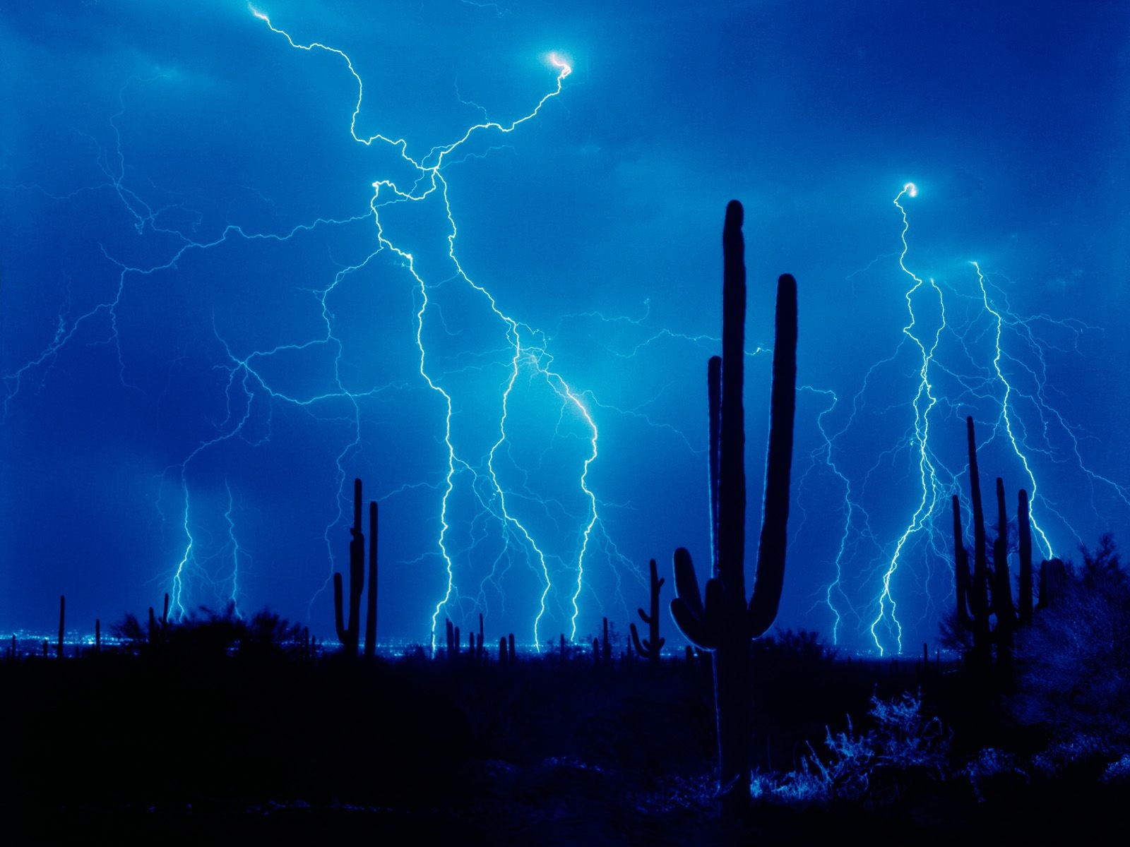 désert foudre cactus nuit orage nuages