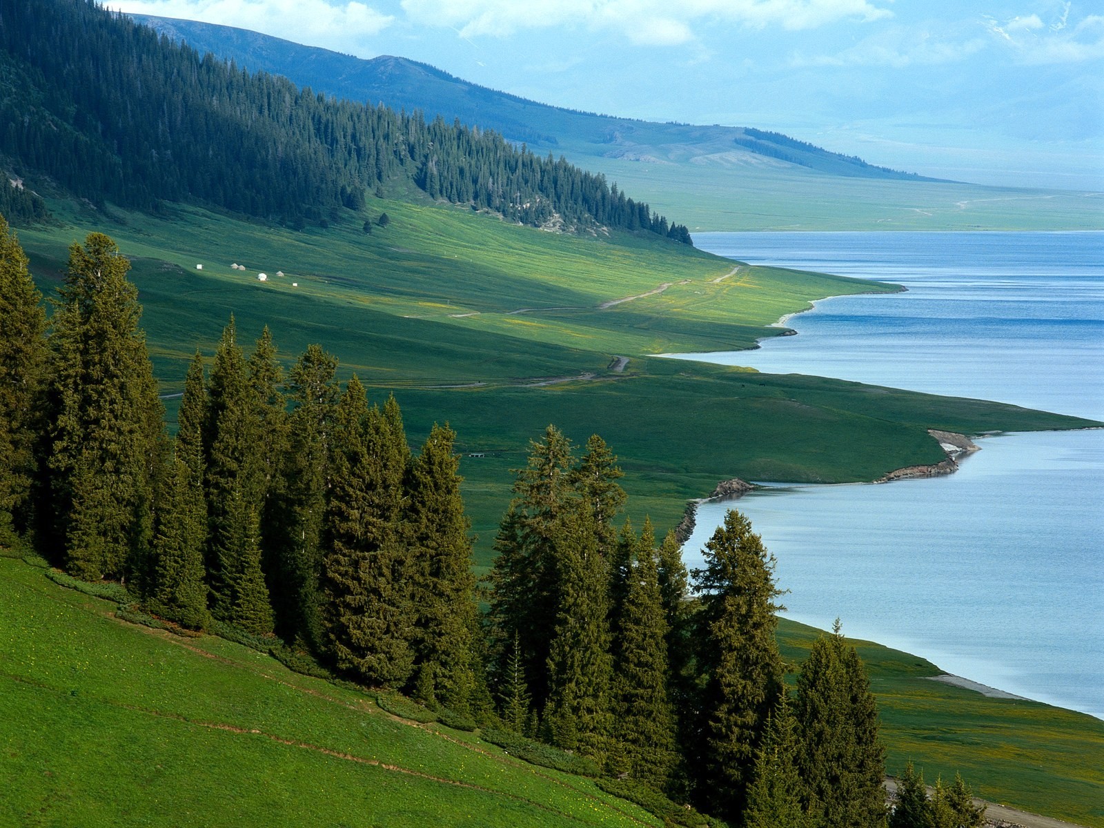 naturaleza costa verano baikal