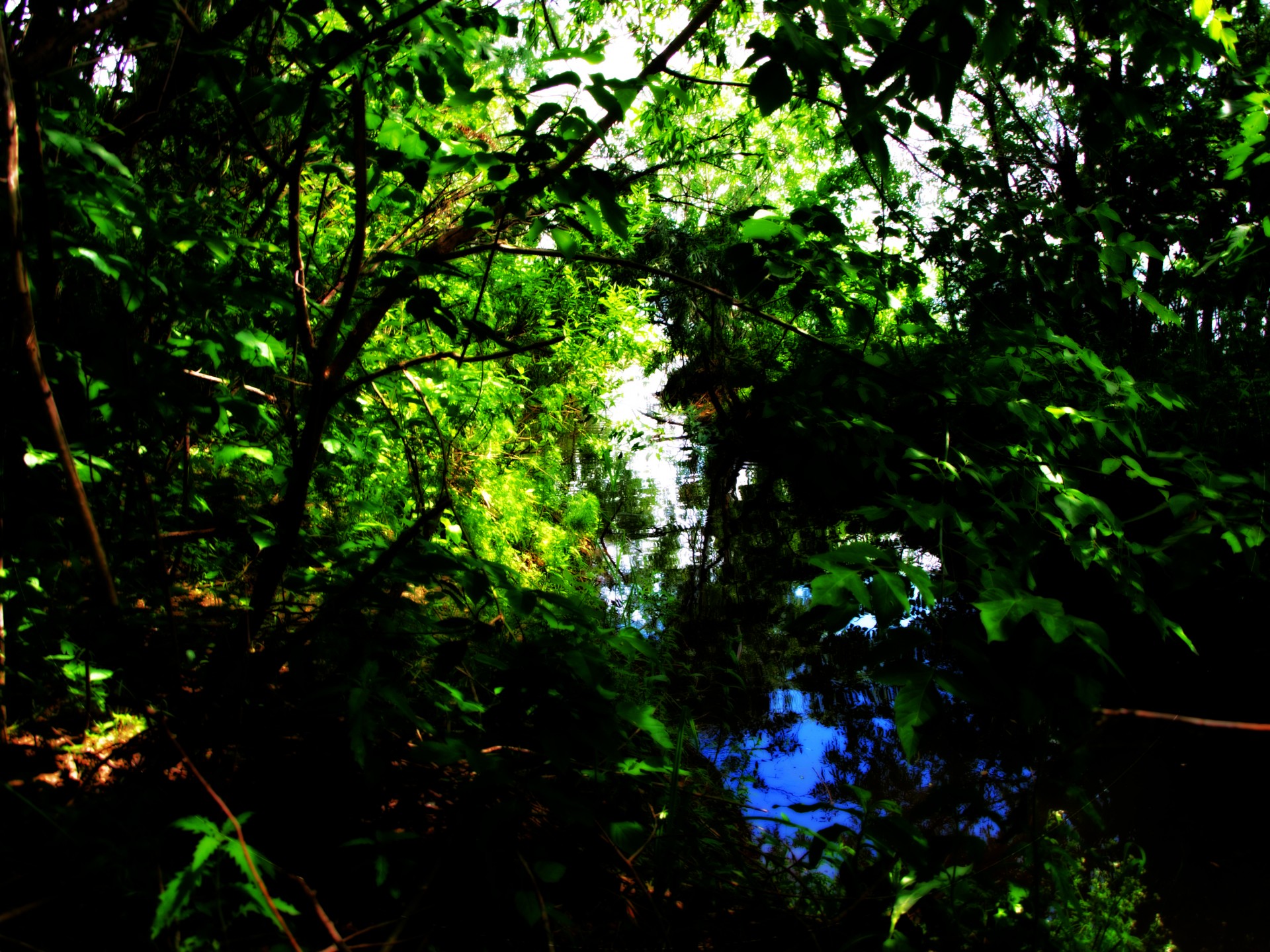 rücklauf wasser sommer