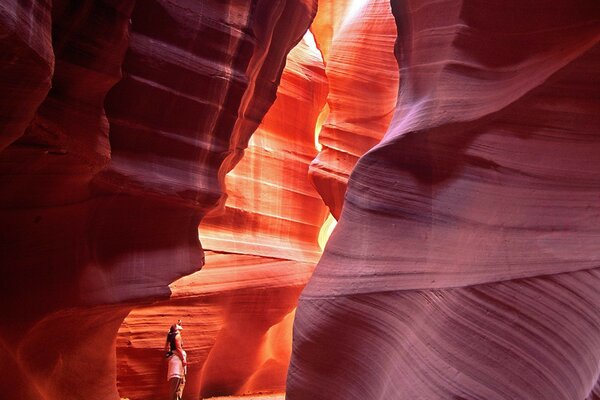 A girl stands inside the grand canyon and looks up