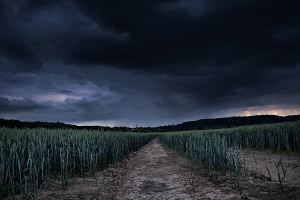 Natur vor dem Sturm. Etwas wird bald kommen