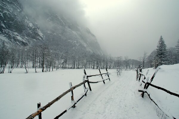 Libertad de nieve. Camino de invierno