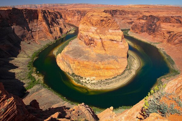 Acqua ed erba in un canyon roccioso