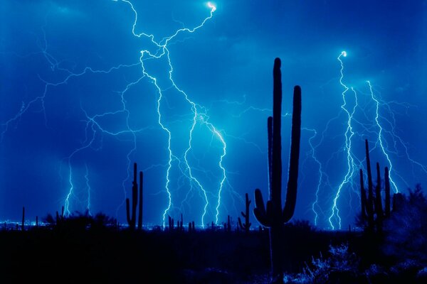 A thunderstorm in the desert, a spectacular night sight