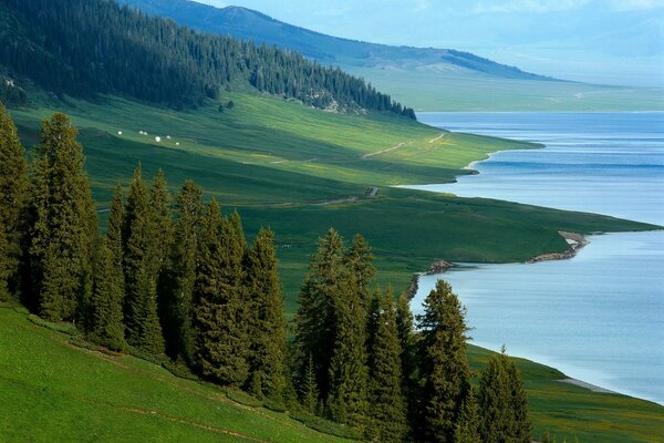 Die Natur des Baikalseeufers