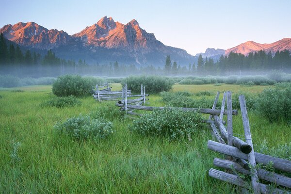 Morning fog in the field