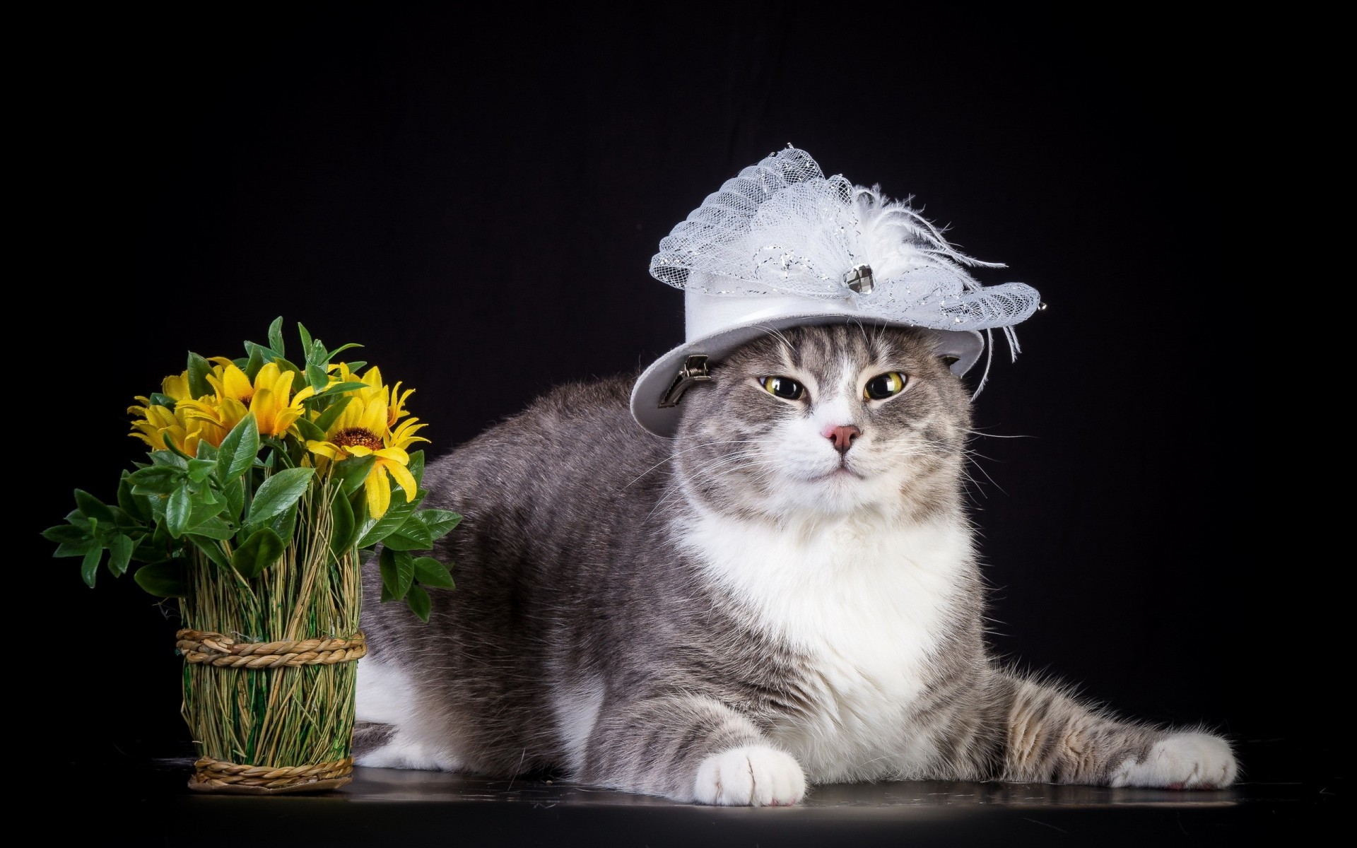 sombrero gato flores