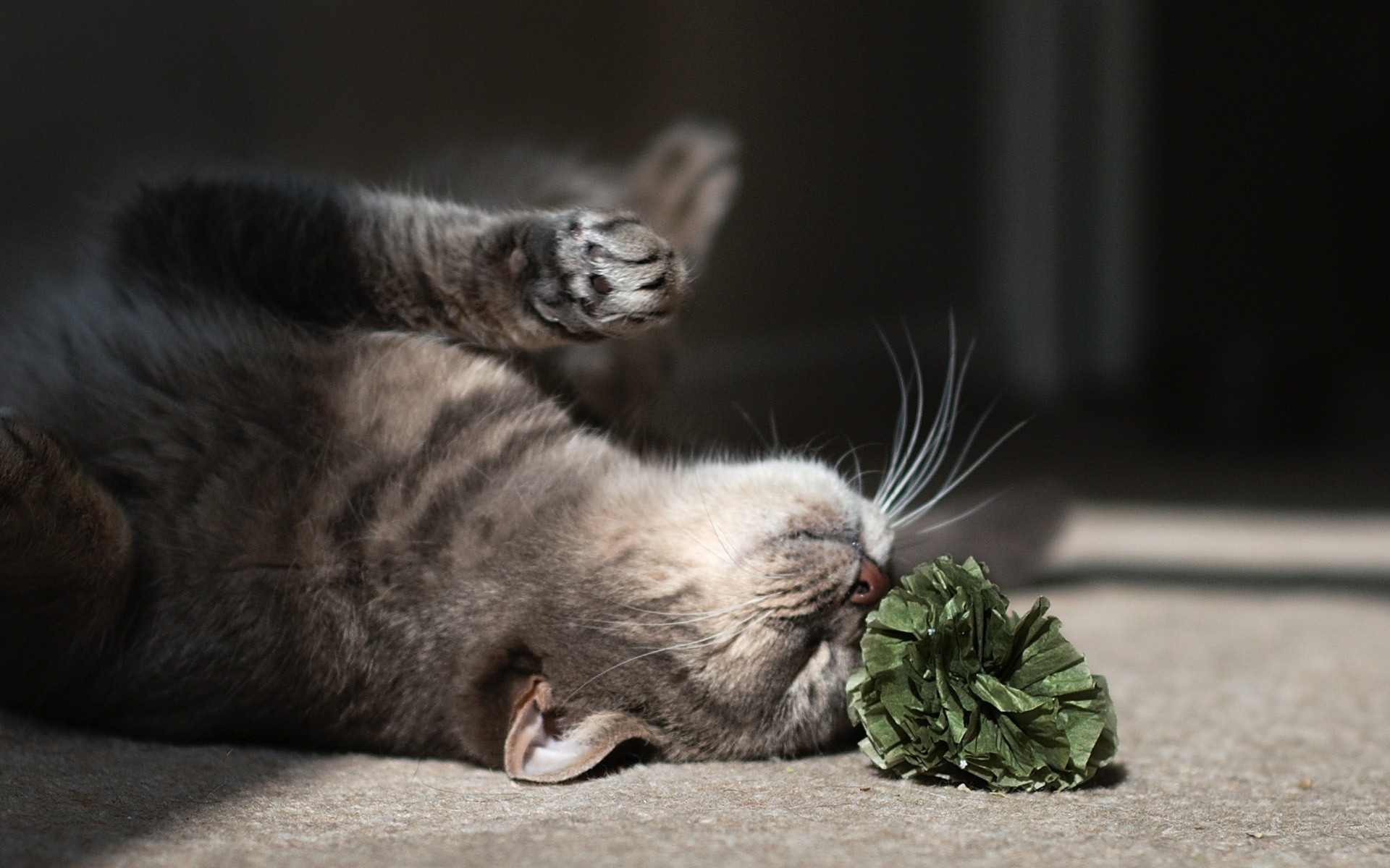 flower on the floor cat game