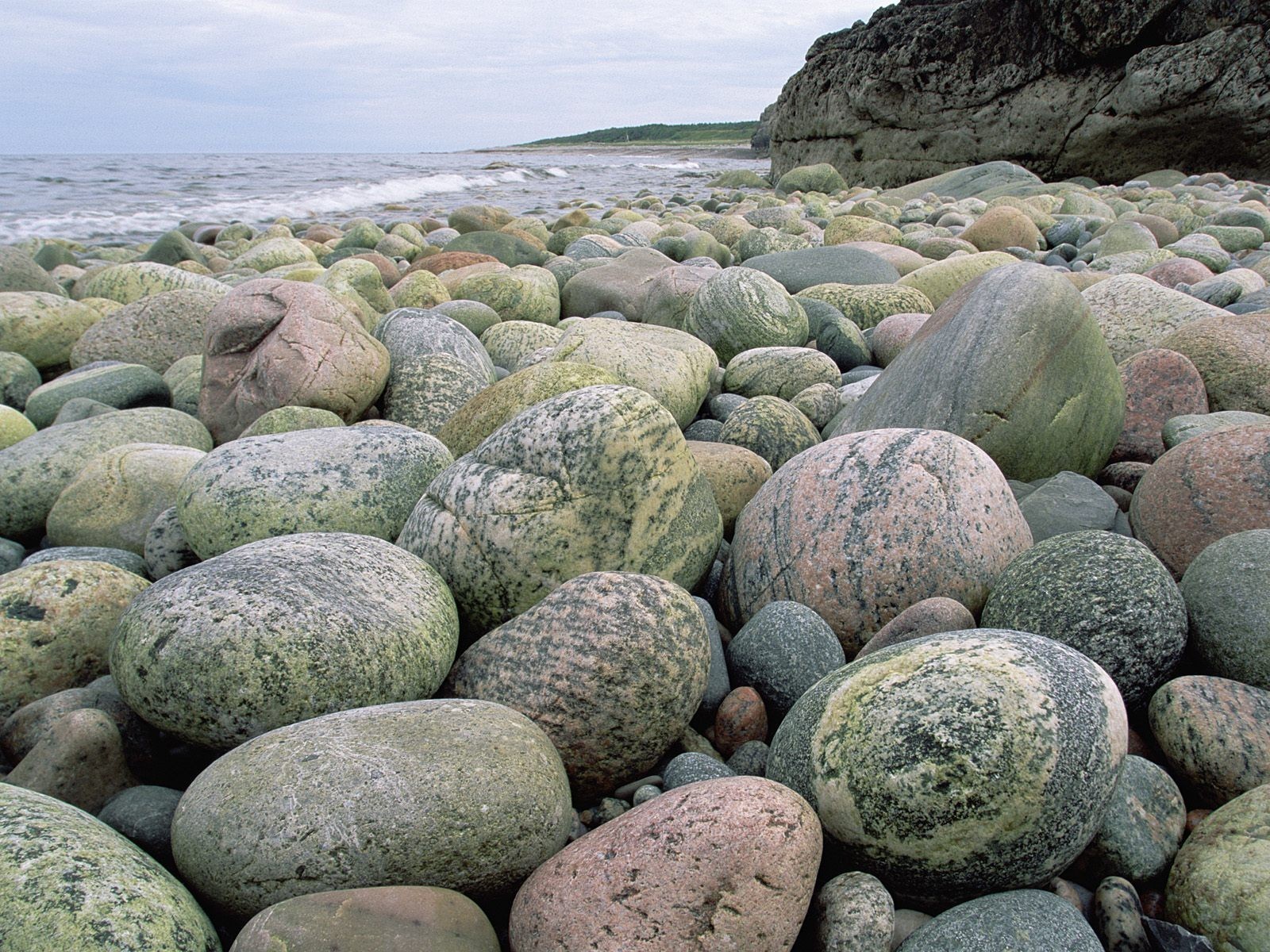 beach stones close up