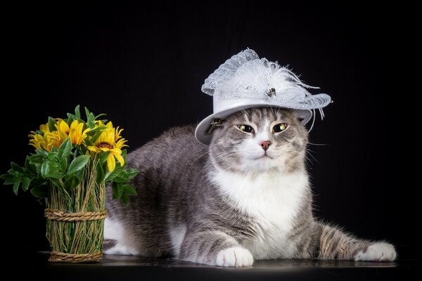 Fashionable kote in a hat and flowers