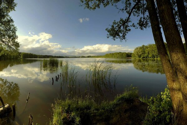 Reflection of clouds and trees in the surface of the lake